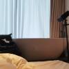 comment-small-img