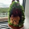 comment-small-img