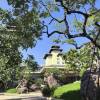 comment-small-img