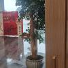 comment-small-img