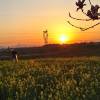 comment-small-img