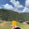 comment-small-img