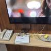 comment-small-img