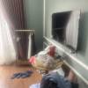 comment-small-img