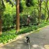 comment-small-img