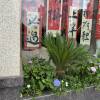 comment-small-img