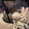 comment-small-img