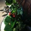 comment-small-img