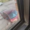 comment-small-img