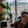 comment-small-img