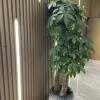 comment-small-img