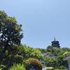 comment-small-img