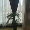 comment-small-img