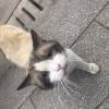 comment-small-img