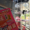 comment-small-img
