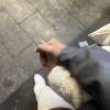 comment-small-img
