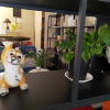 comment-small-img