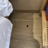 comment-small-img