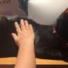 comment-small-img