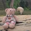 comment-small-img