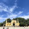 comment-small-img