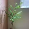 comment-small-img