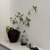 comment-small-img
