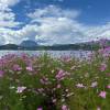 comment-small-img