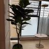 comment-small-img