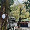 comment-small-img