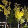 comment-small-img