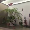 comment-small-img