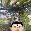 comment-small-img