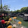 comment-small-img