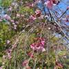 comment-small-img