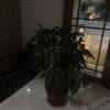 comment-small-img