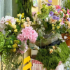 comment-small-img
