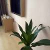 comment-small-img