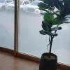 comment-small-img