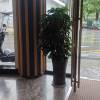 comment-small-img