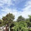 comment-small-img