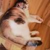 comment-small-img
