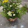 comment-small-img