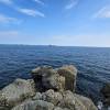 comment-small-img