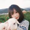 comment-small-img