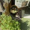 comment-small-img