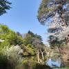comment-small-img
