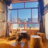 comment-small-img