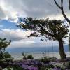 comment-small-img