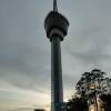comment-small-img